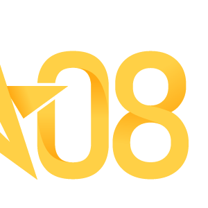 Fundraising Page: 2008